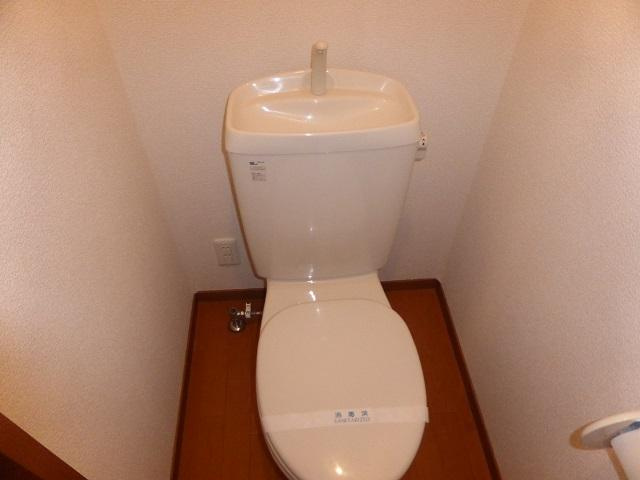 ヴィラさだいわ　Ｂのトイレ|落ち着いたトイレです