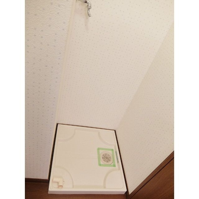 アンプルール フェール アミーⅡのその他