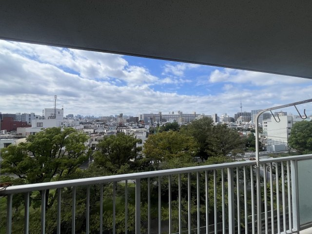 ハイラーク大島の展望