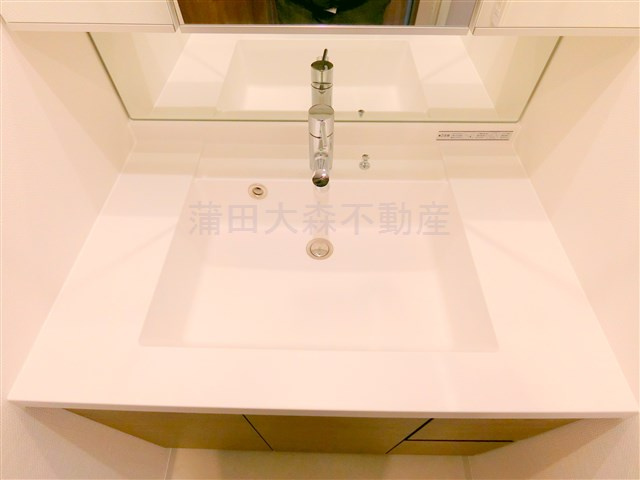 スタイリオ池上WeLLの洗面所