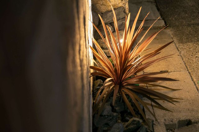 千種区霞ケ丘１丁目戸建のその他|植栽を照らすように照明を配置しています
