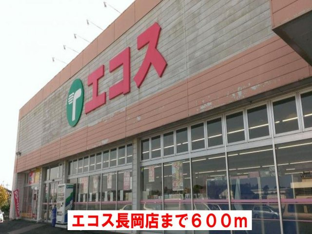 リヴィエールの周辺|エコス長岡店まで600m