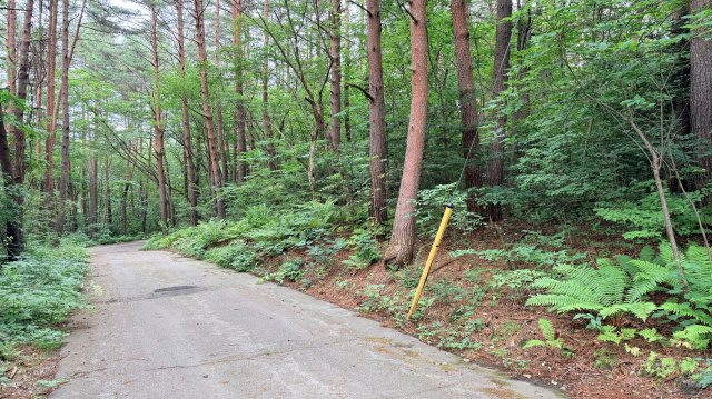 浅間ハイランドパーク 売土地の前面道路含む現地写真
