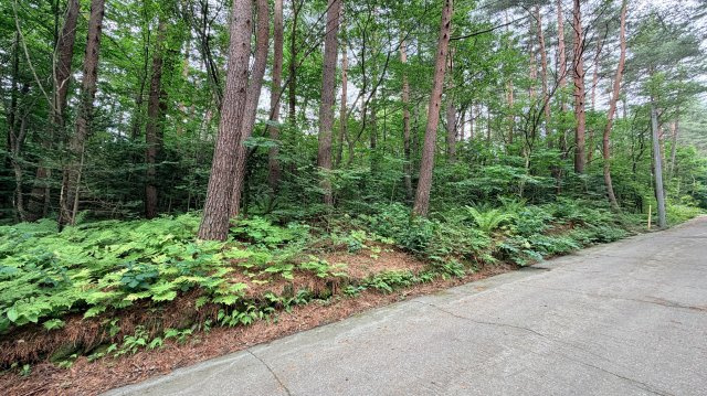 浅間ハイランドパーク 売土地の前面道路含む現地写真