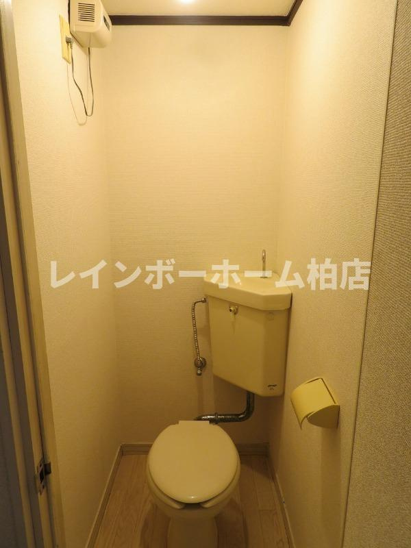 特典：仲介手数料が無料です!!のトイレ|清潔感のあるトイレです