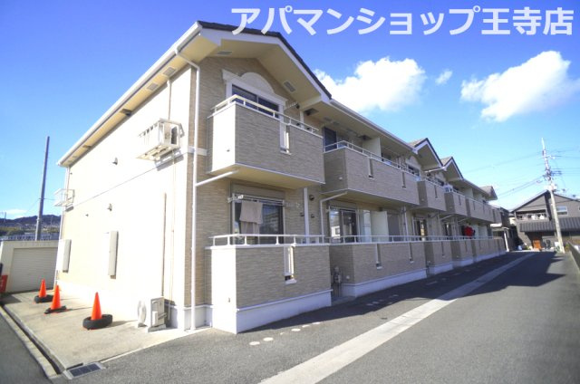 ピュア　コート　サクセス