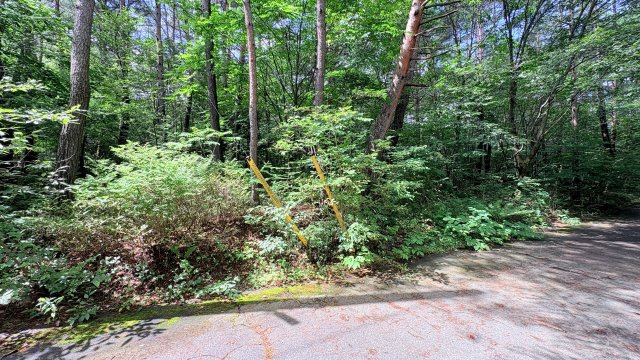 浅間ハイランドパーク 売土地の前面道路含む現地写真