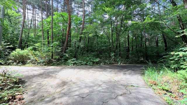 浅間ハイランドパーク 売土地の前面道路含む現地写真