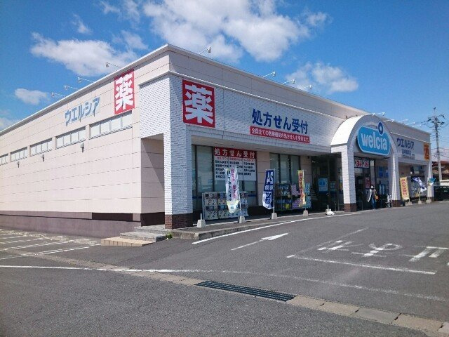 ドエル観音寺　Ｃの周辺|ウエルシア高崎棟高店まで500m