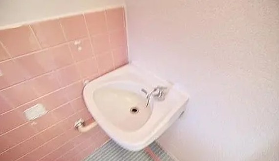 メゾン川口朝日Ⅰの洗面所|※別部屋参考写真