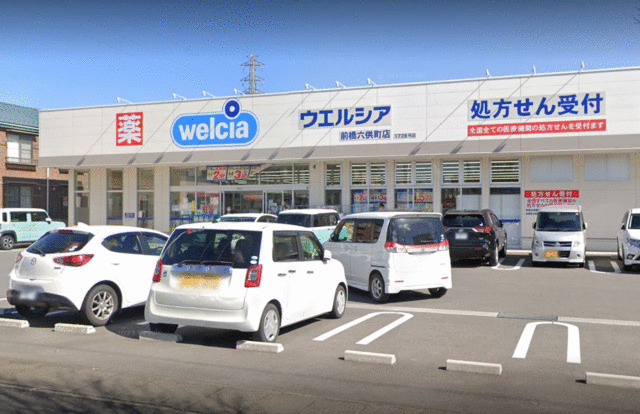 キャトルセゾンの周辺|ウエルシア前橋六供町店まで406m