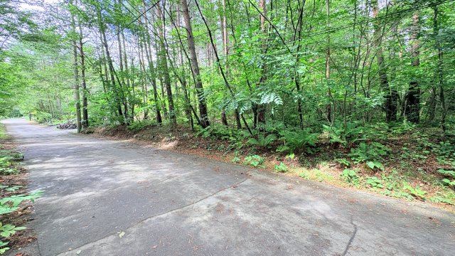 浅間ハイランドパーク 売土地の外観