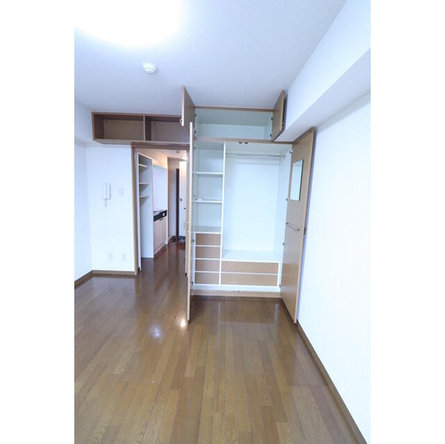 川崎市多摩区三田１丁目の賃貸マンションの収納