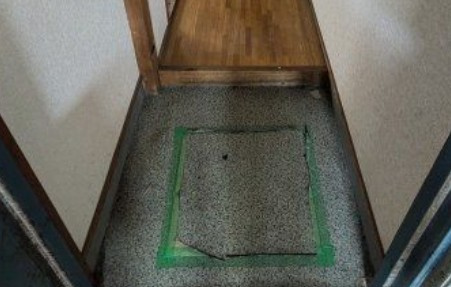 平塚市馬入本町の賃貸マンションの玄関