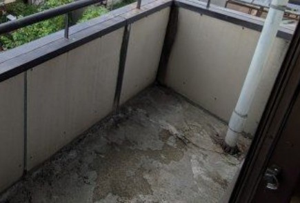 平塚市馬入本町の賃貸マンションのバルコニー