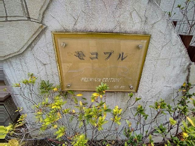 レオネクストモコプルのその他
