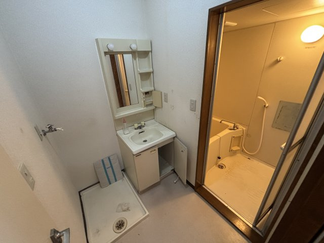 見崎コーポの洗面所