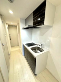 市川市高谷２丁目の賃貸マンションのキッチン