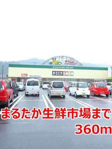 アヤ　ソフィアの周辺|まるたか生鮮市場まで360m