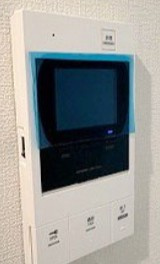 シャトネルAのセキュリティ