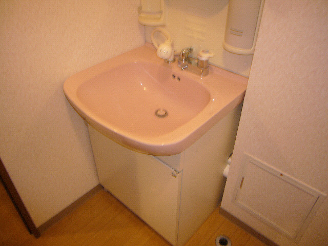 シャルム壱番館の洗面所