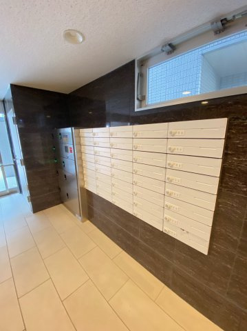 Ms PalazzO UNIVERSALのその他