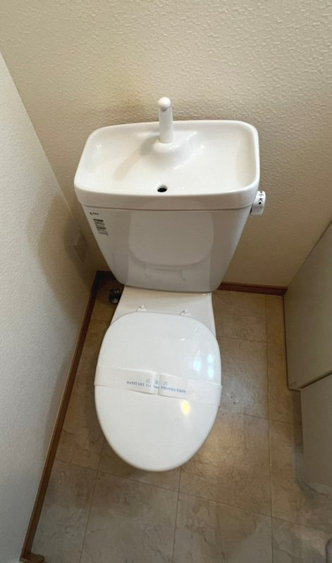 プルメリア のトイレ