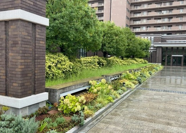 【中庭】 | ユニヴェルシオール学園の丘 | マンション敷地内に設けられた共有の庭園スペースです。美しい緑が整えられており、敷地内を散策する際にも心地よい癒やしの空間となっております。大規模マンションならではの充実した共用環境が魅力です。