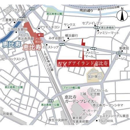 【地図】Ｌｏｎｇ　Ｉｓｌａｎｄ　Ｅｂｉｓｕ