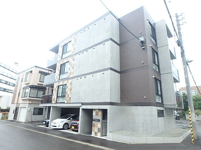 Aster Miyanosawa