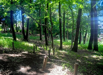 【周辺】 | 練馬区土支田4丁目　新築戸建　1号棟 6880万円 | 稲荷山憩いの森