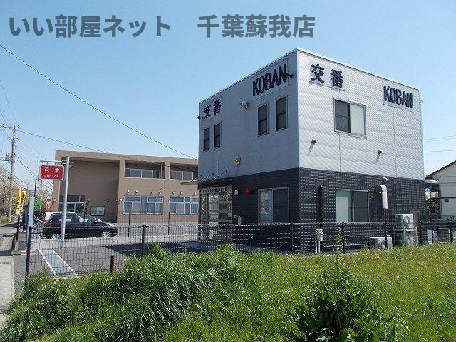 ハウス　ラフランス　Ｂのその他