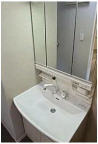 Daiwa grace maison大島Ⅰの洗面所