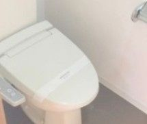 Daiwa grace maison大島Ⅰのトイレ
