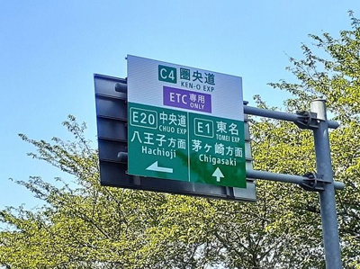 【その他】 | ウイステェリア2