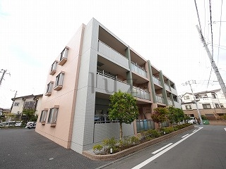 マーベラスエクセレントの外観