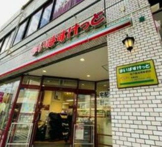 リヴシティ成増ミュジオ弐番館の周辺