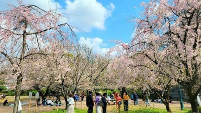 【周辺】 | オークルーム日本橋浜町