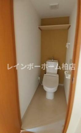 特典：仲介手数料が無料です!!のトイレ|清潔感のあるトイレです