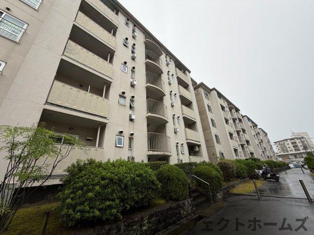 藤阪ハイツD6棟の外観|外観もきれいです