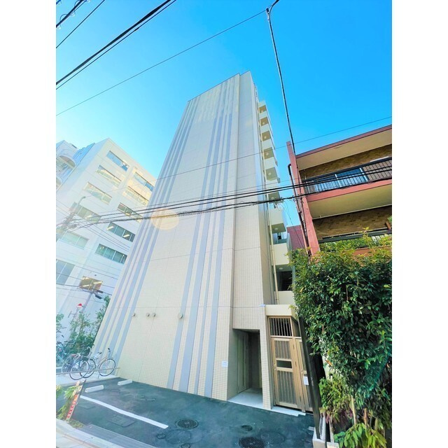 Camelliaの外観