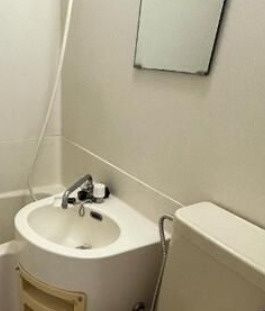 ソフィア東十条の洗面所