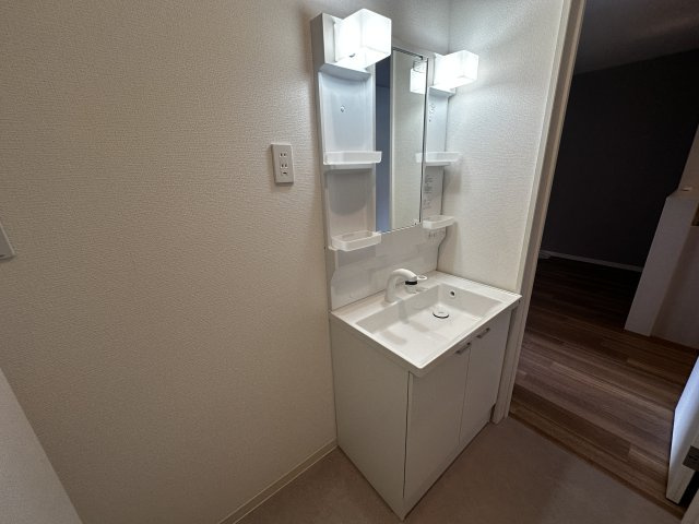 プチメゾン有井の洗面所