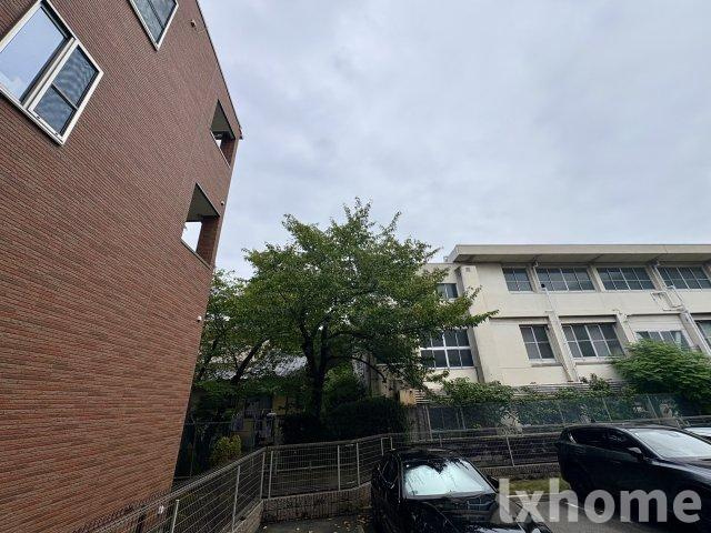 メルレットの展望