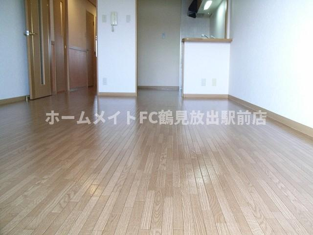 大阪市鶴見区安田２丁目の賃貸マンションの居間・リビング