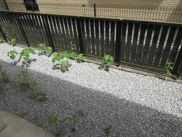 JAボナール上の丸A棟の庭