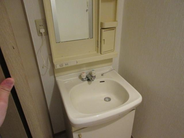 JAボナール上の丸A棟の洗面所