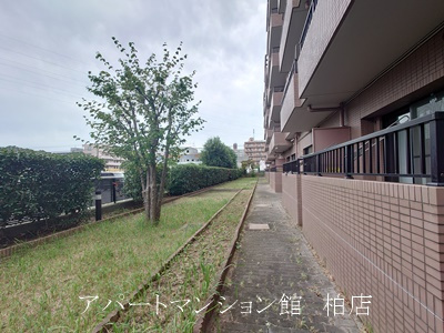 ＩＳＭ南柏の庭