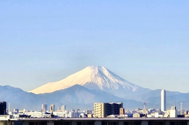 フォルスコートグランマークスの展望