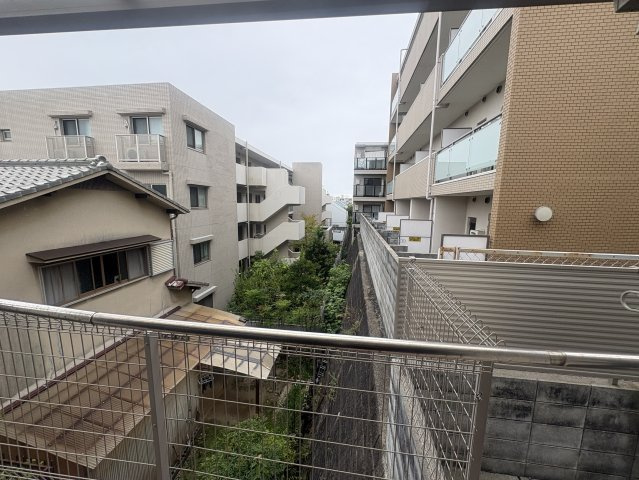 CREST緑地の展望
